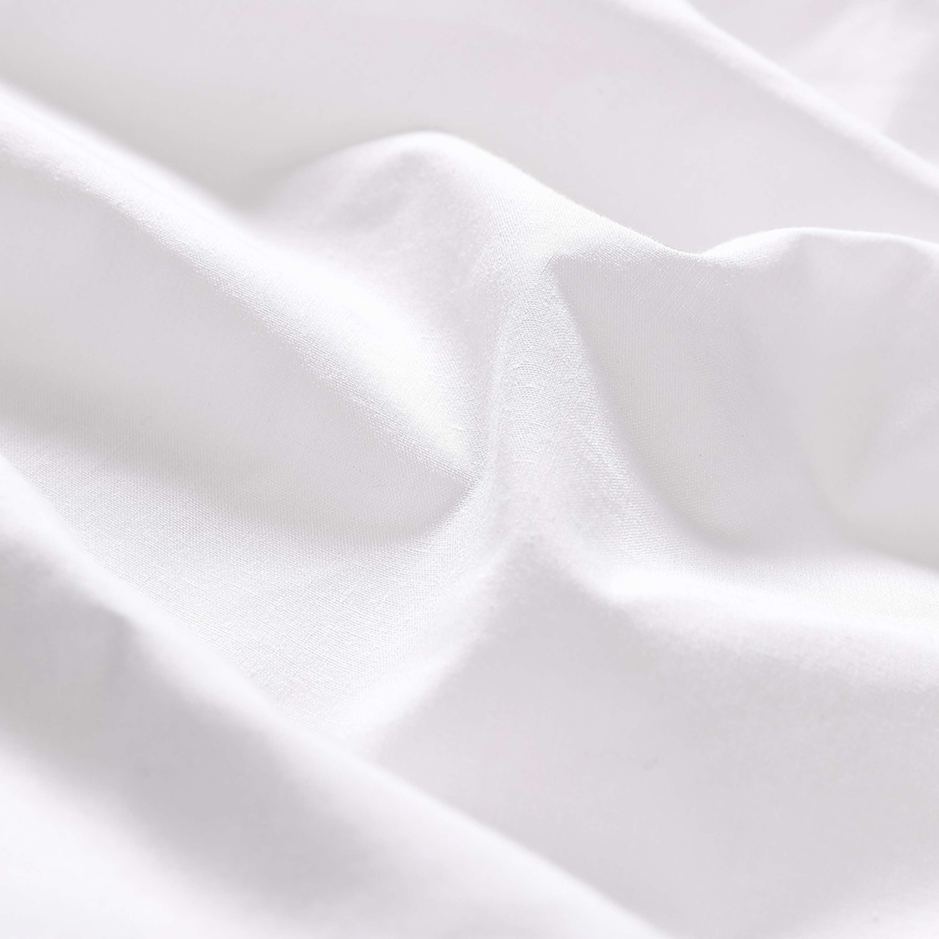Lotus Flat Sheet
